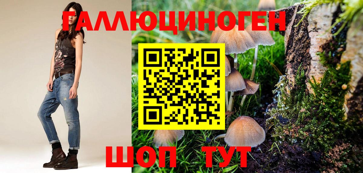 Галлюциногенные грибы мицелий  Вход с VPN  Урус-Мартан 