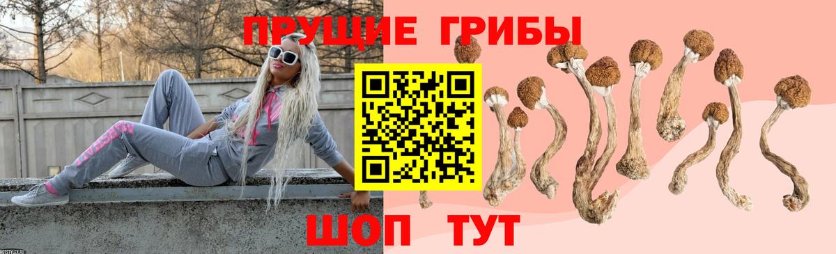 Псилоцибиновые грибы Magic Shrooms Урус-Мартан